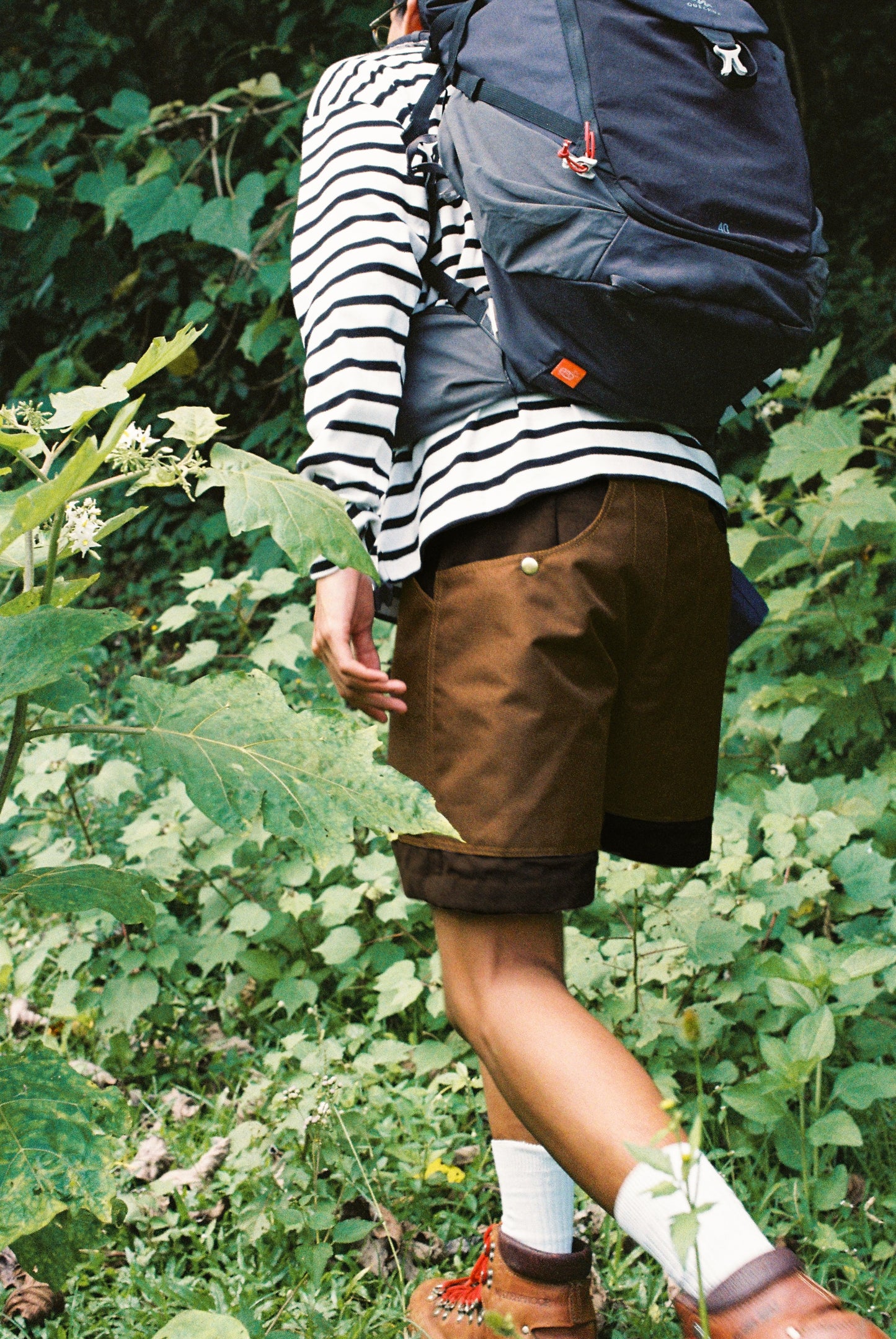 Camp Shorts