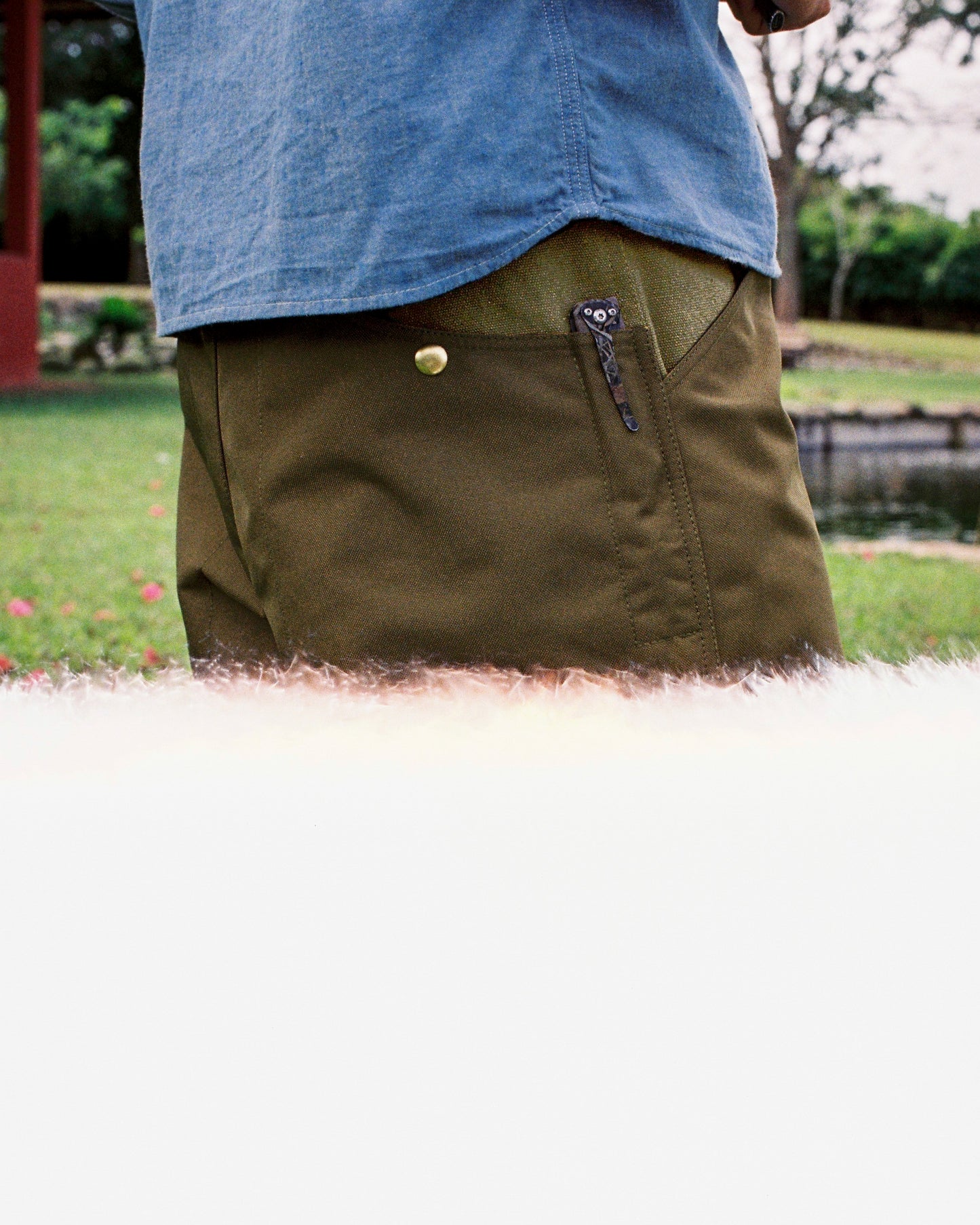 Camp Shorts
