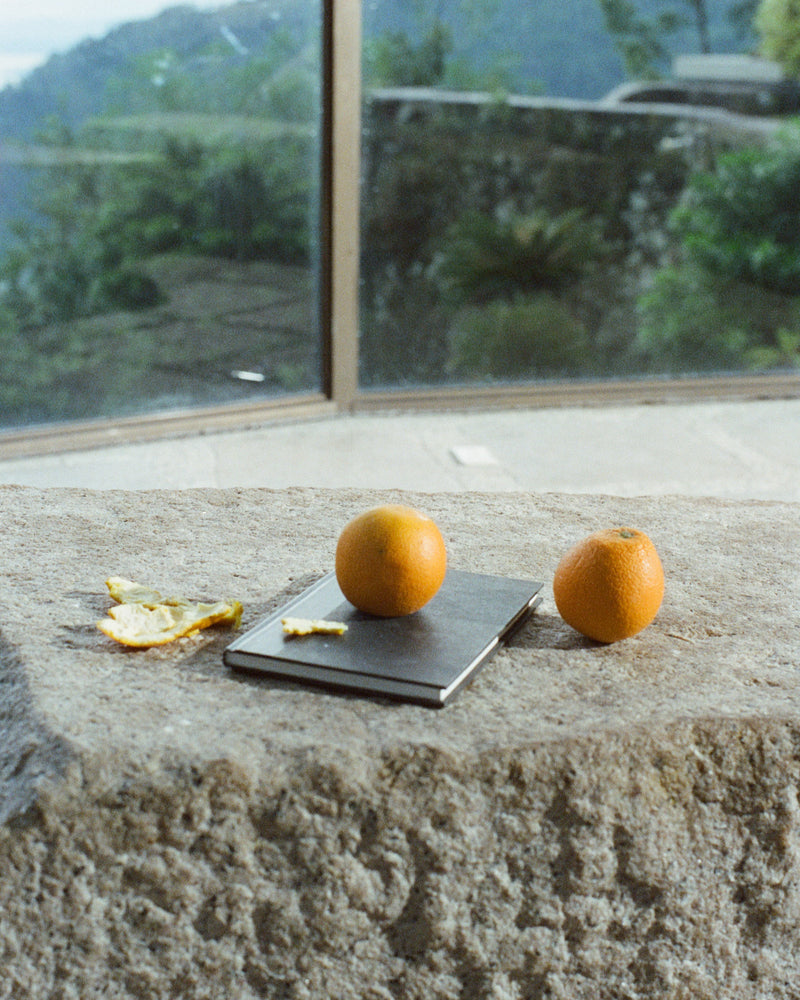 Two oranges on a stone surface with a scenic background