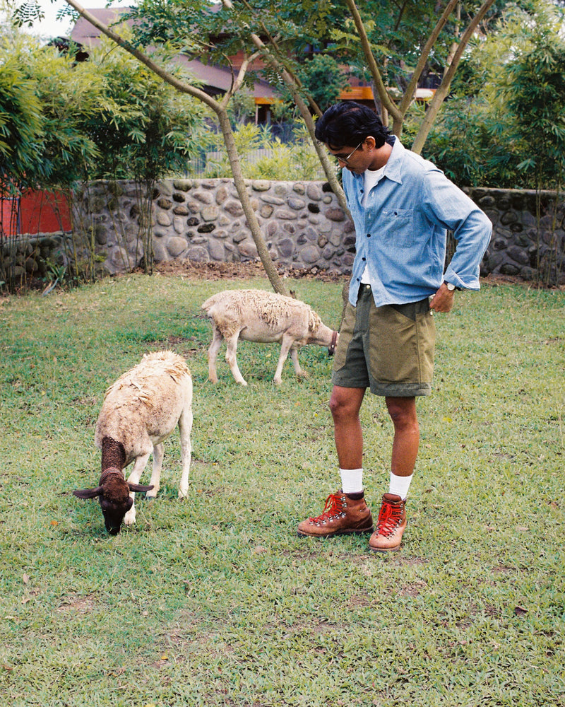 Person standing in a grassy area with two sheep nearby